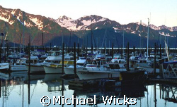 Harbor in Alaska by Michael Wicks 